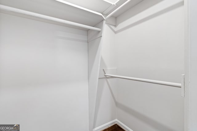 spacious closet featuring wood-type flooring