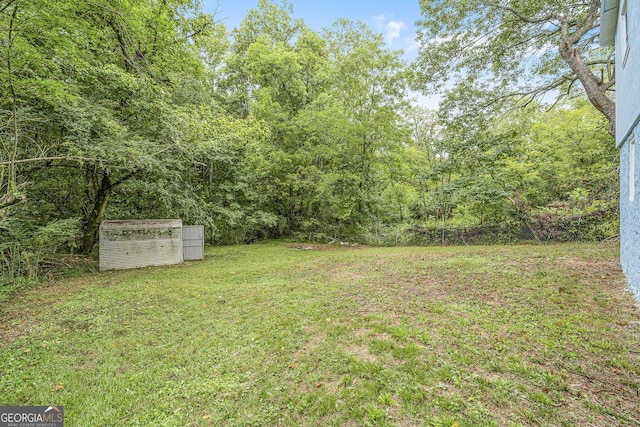 view of yard featuring a storage shed