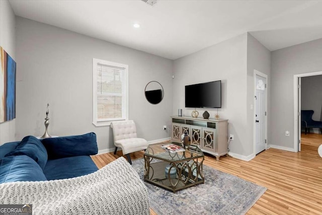 living room featuring hardwood / wood-style floors