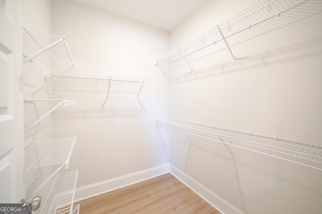 walk in closet with hardwood / wood-style flooring