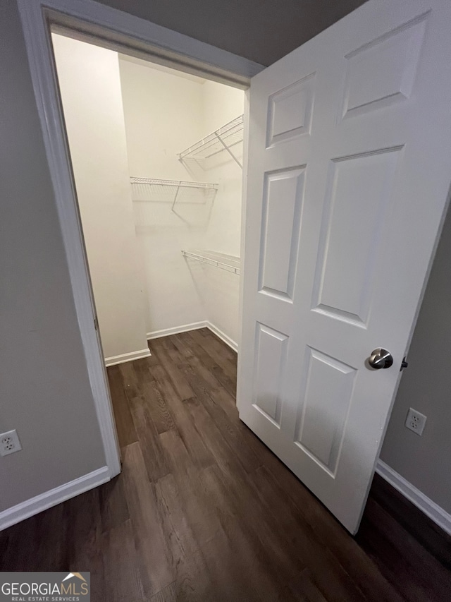 spacious closet featuring dark wood-type flooring