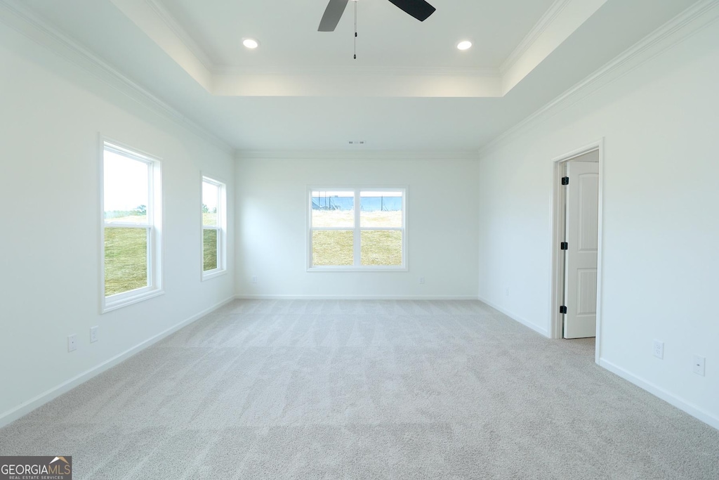 spare room featuring a raised ceiling, crown molding, and light colored carpet