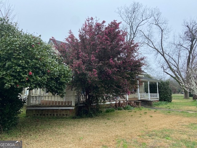 view of yard featuring a wooden deck