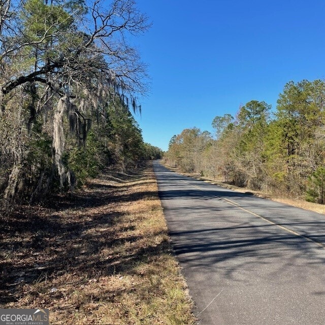 100/-ACRESEA Pineville Rd, Buena Vista GA, 31803 land for sale