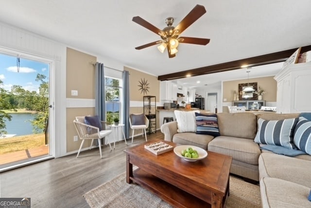 living room featuring ceiling fan and hardwood / wood-style flooring