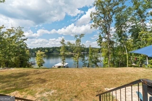 826 Shagbark Pointe Dr, Sparta, GA 31087 - view of water feature