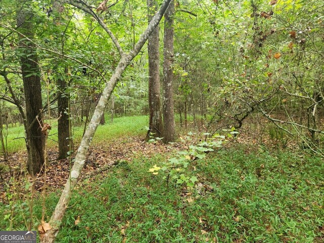 632 White Hill School Rd, Commerce, GA 30529