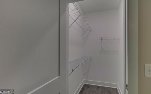 walk in closet featuring dark wood-style floors