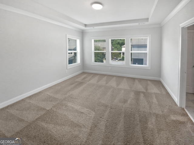 carpeted spare room featuring a raised ceiling, baseboards, and ornamental molding