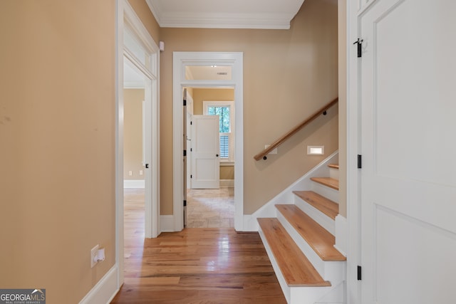 hallway featuring crown molding and wood-type flooring