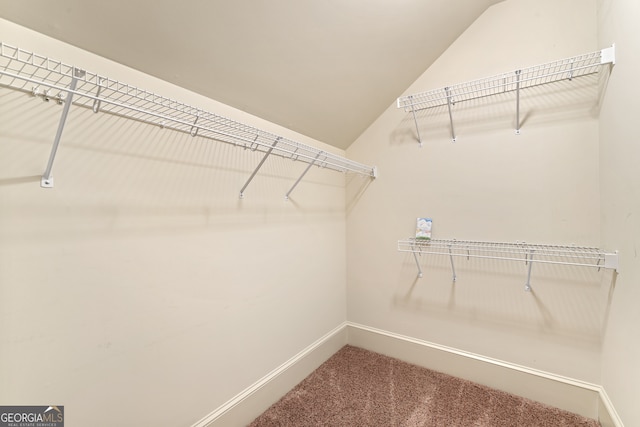 walk in closet featuring lofted ceiling and carpet flooring