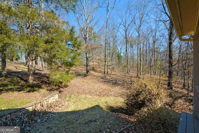 6865 Cowan Mill Rd, Winston, GA 30187 - view of yard