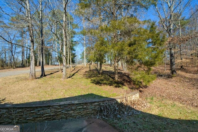 6865 Cowan Mill Rd, Winston, GA 30187 - view of yard