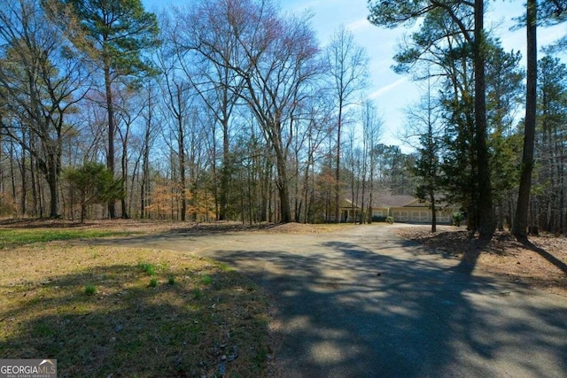 6865 Cowan Mill Rd, Winston, GA 30187 - view of street