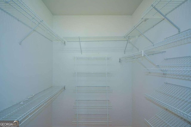 6865 Cowan Mill Rd, Winston, GA 30187 - view of walk in closet