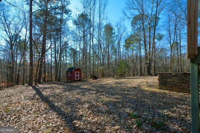 view of yard with a storage unit