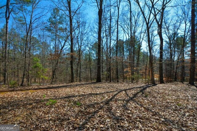 6865 Cowan Mill Rd, Winston, GA 30187 - view of local wilderness featuring a forest view