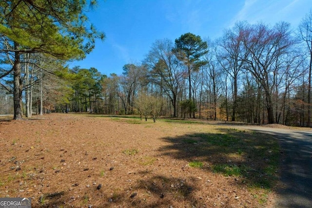 6865 Cowan Mill Rd, Winston, GA 30187 - exterior space with a wooded view