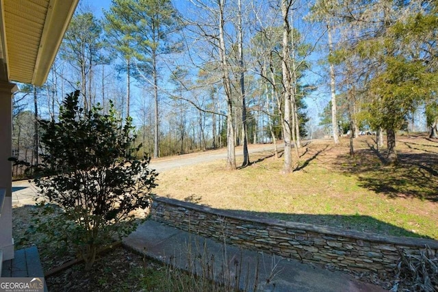 6865 Cowan Mill Rd, Winston, GA 30187 - view of yard