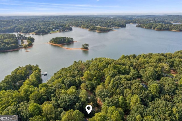 drone / aerial view with a water view and a wooded view