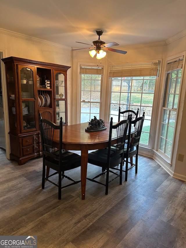 dining room featuring ceiling fan, ornamental molding, and dark hardwood / wood-style flooring