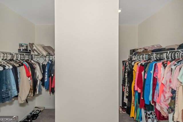 spacious closet featuring carpet floors