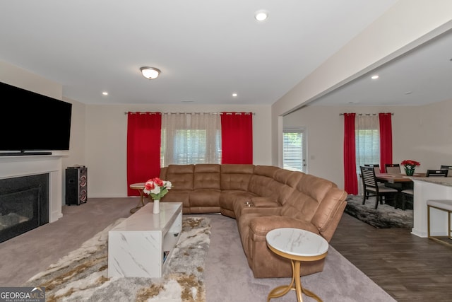 living room featuring hardwood / wood-style flooring