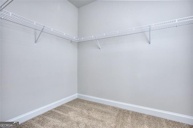 spacious closet with carpet flooring