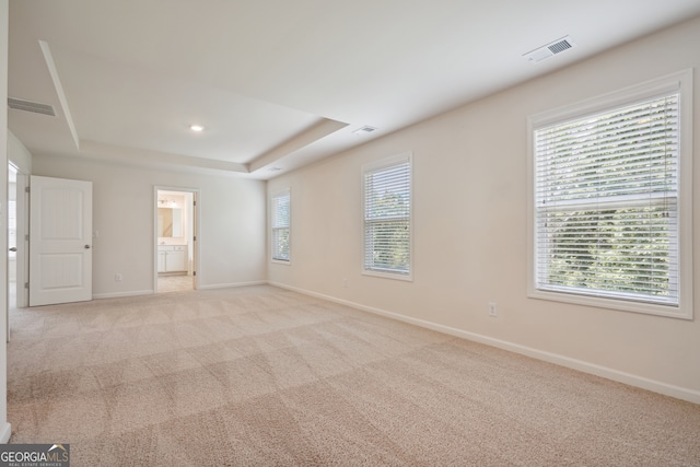 carpeted spare room featuring a raised ceiling