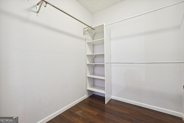 walk in closet featuring dark wood-type flooring