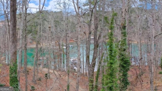 5775 Lakeshore Dr, Buford, GA 30518 - water view with a heavily wooded area