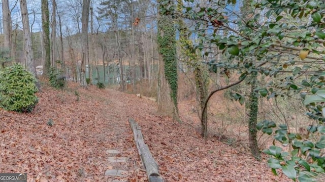 5775 Lakeshore Dr, Buford, GA 30518 - view of tree filled area