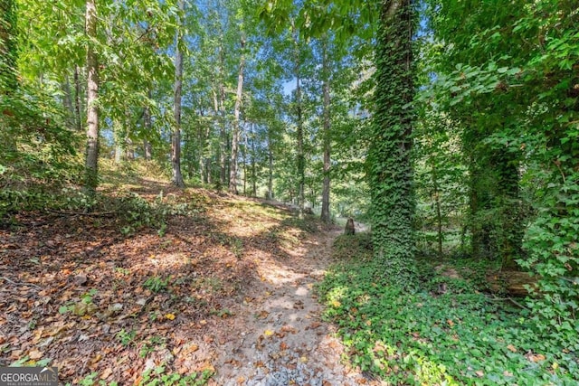 5775 Lakeshore Dr, Buford, GA 30518 - view of wooded area