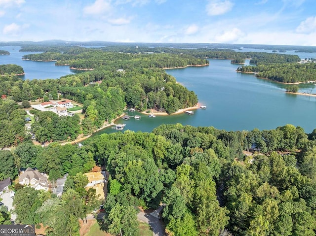 5775 Lakeshore Dr, Buford, GA 30518 - aerial view of property's location featuring a heavily wooded area and a large body of water