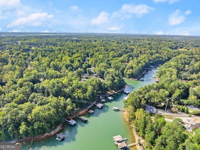 5775 Lakeshore Dr, Buford, GA 30518 - bird's eye view of a large body of water and a forest