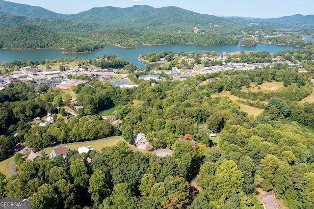 birds eye view of property featuring a water and mountain view