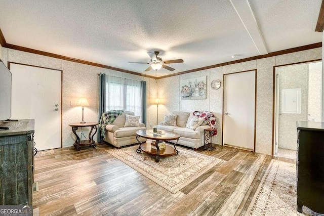 living room with light wood-type flooring, ornamental molding, ceiling fan, and a textured ceiling