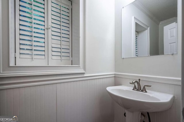 bathroom with ornamental molding, sink, and a textured ceiling