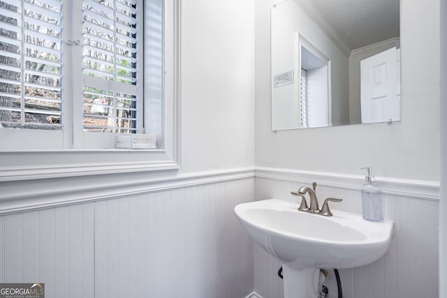 200 Villa Rd Unit 126, Jasper, GA 30143 - bathroom with a wainscoted wall and crown molding