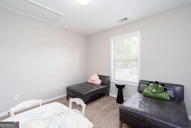 bedroom featuring carpet flooring