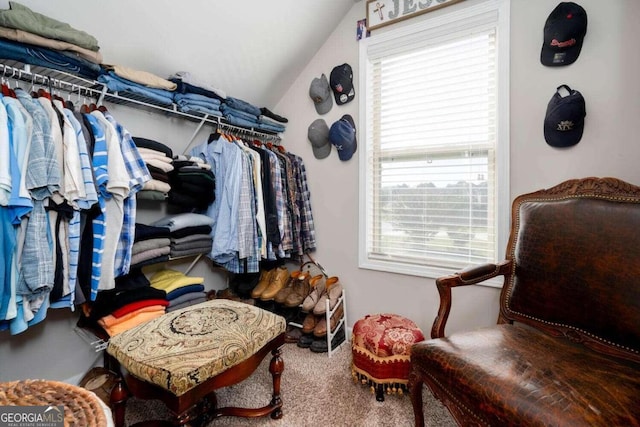 walk in closet featuring lofted ceiling