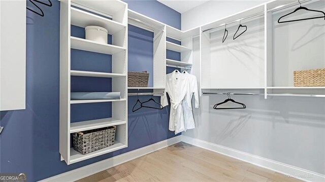 spacious closet with hardwood / wood-style floors