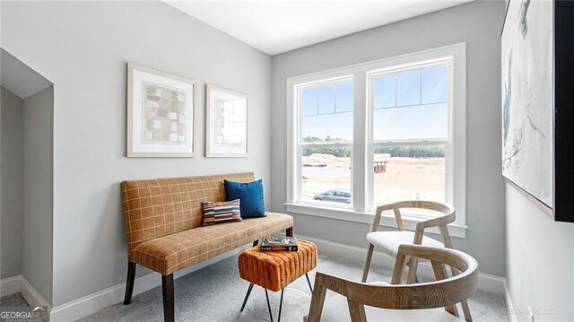 sitting room featuring carpet