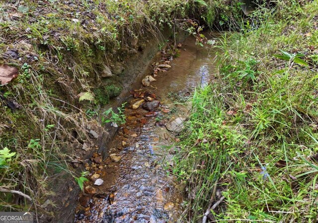 view of local wilderness