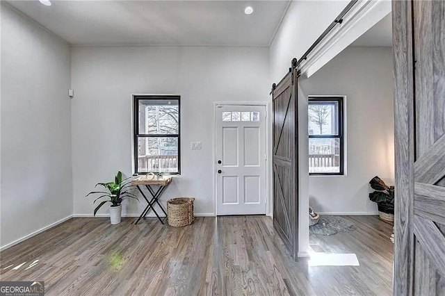 foyer with a barn door, a healthy amount of sunlight, and light hardwood / wood-style flooring