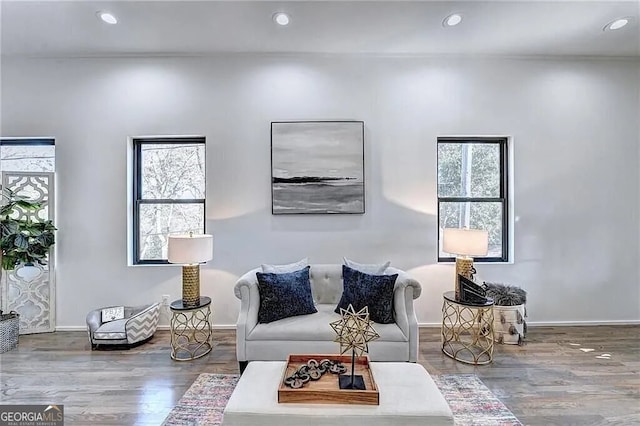 living room featuring a healthy amount of sunlight and hardwood / wood-style floors