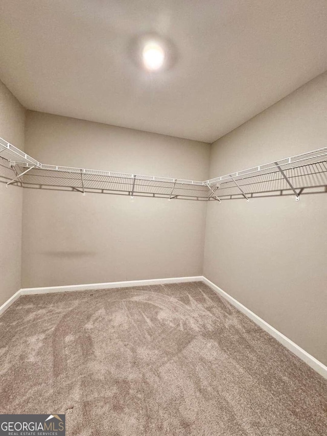 spacious closet with carpet