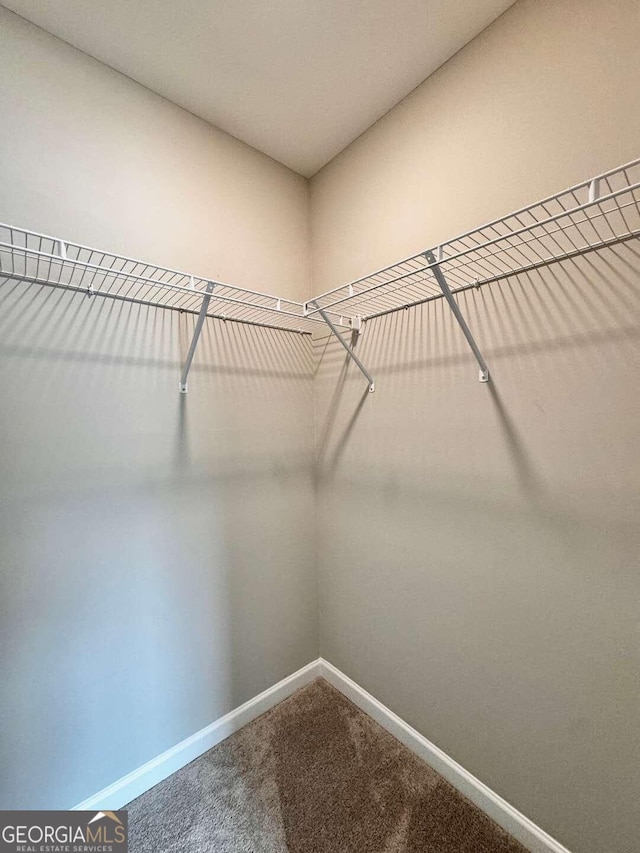 walk in closet featuring carpet flooring