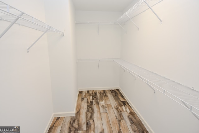 walk in closet featuring wood-type flooring