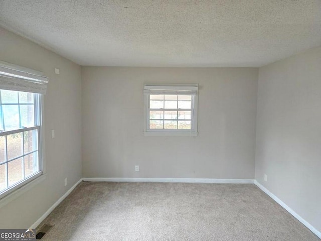 spare room featuring a textured ceiling, light carpet, and a wealth of natural light